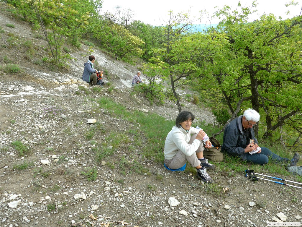 P1040544