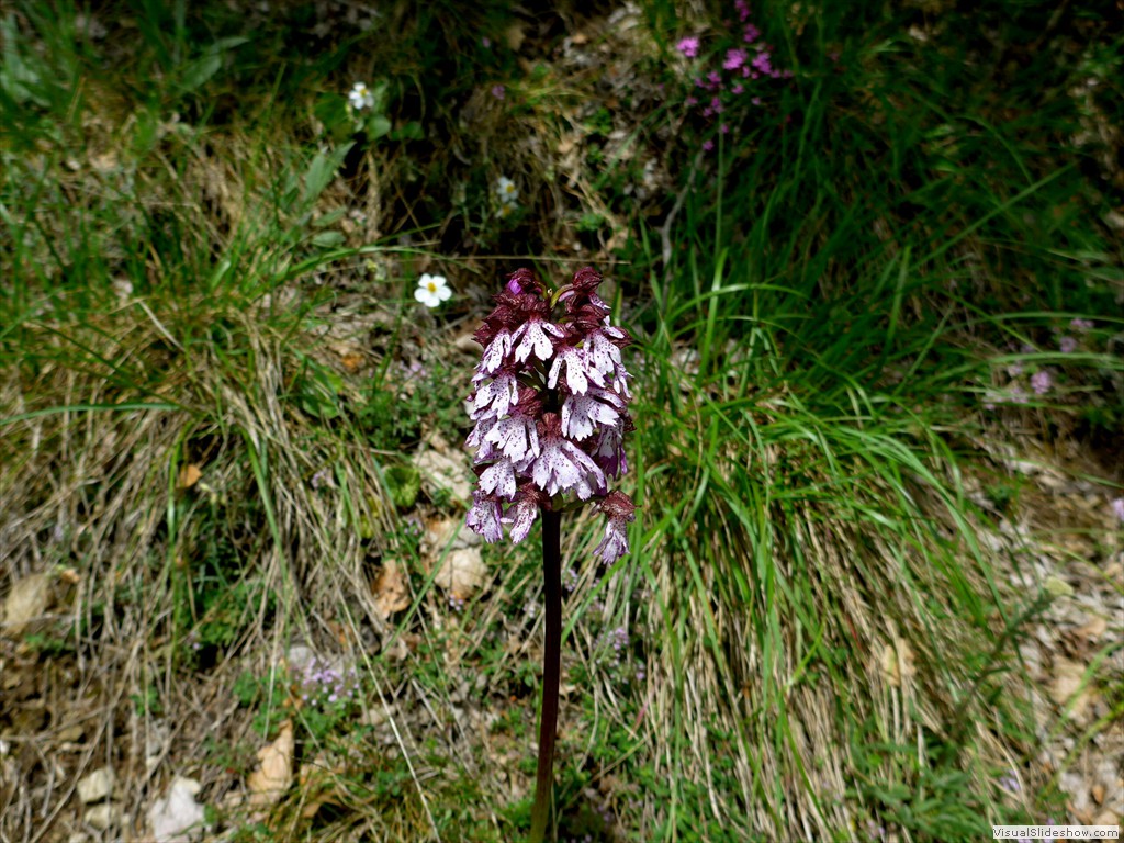 P1040548