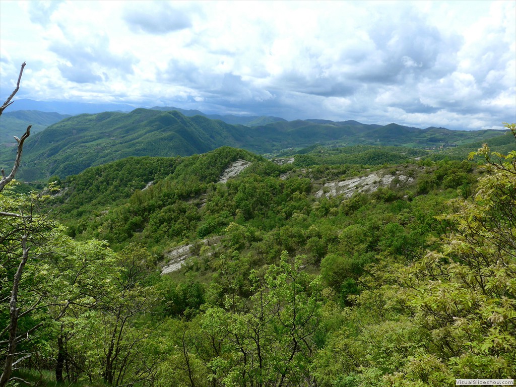P1040551