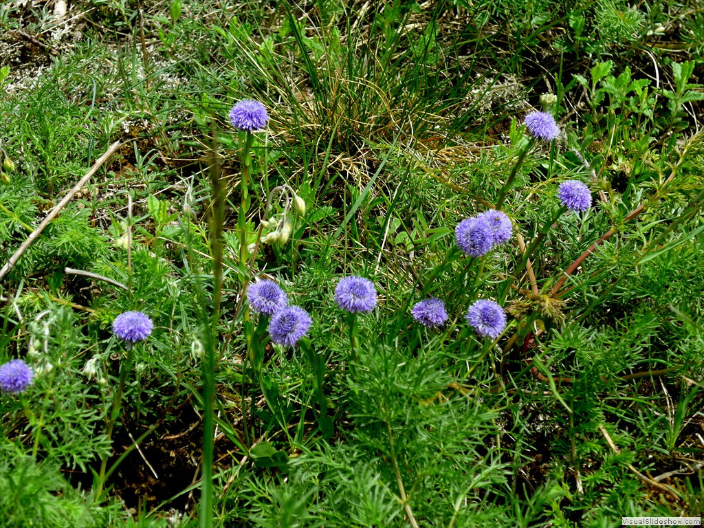 P1040567