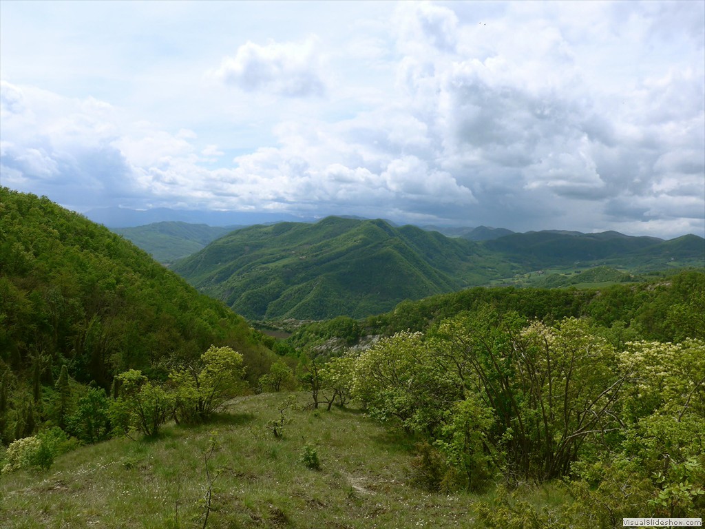 P1040570