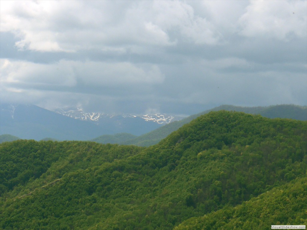 P1040571