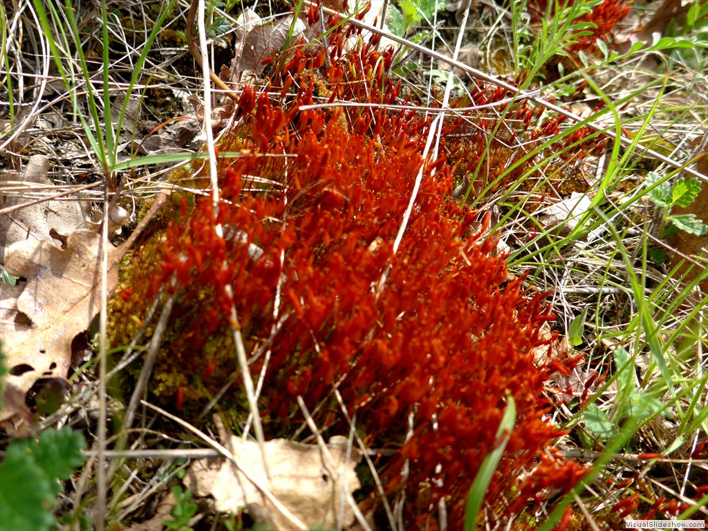 P1040572