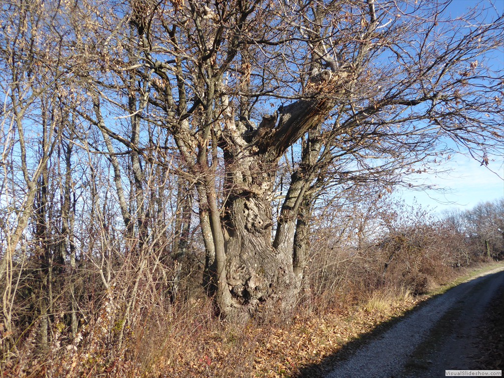 P1020402