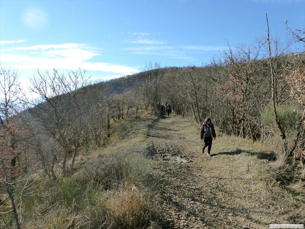 P1020407