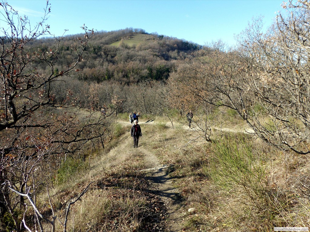 P1020408