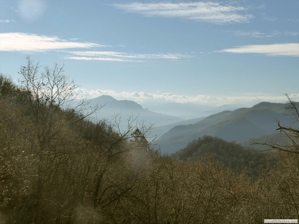 P1020412