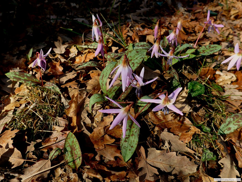 P1110202