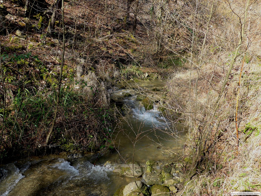 P1110207