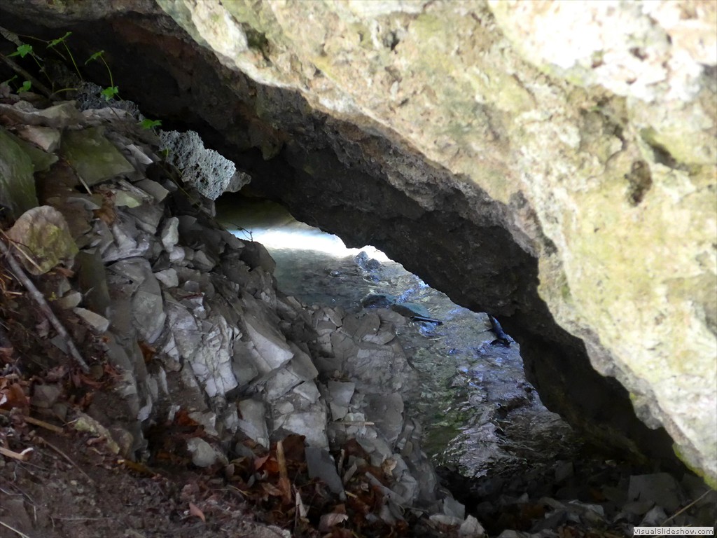 P1110219