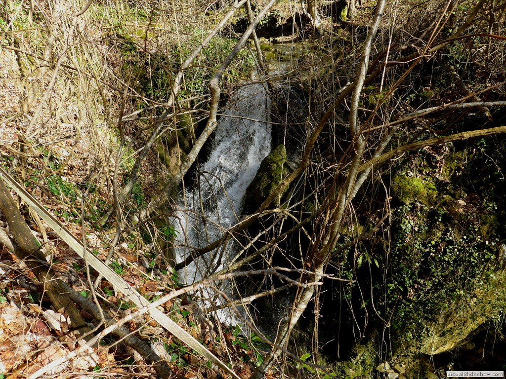 P1110221