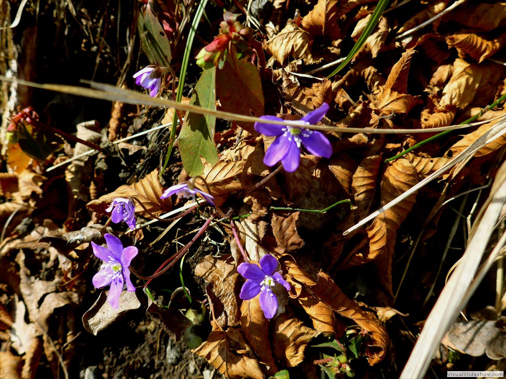 P1110228