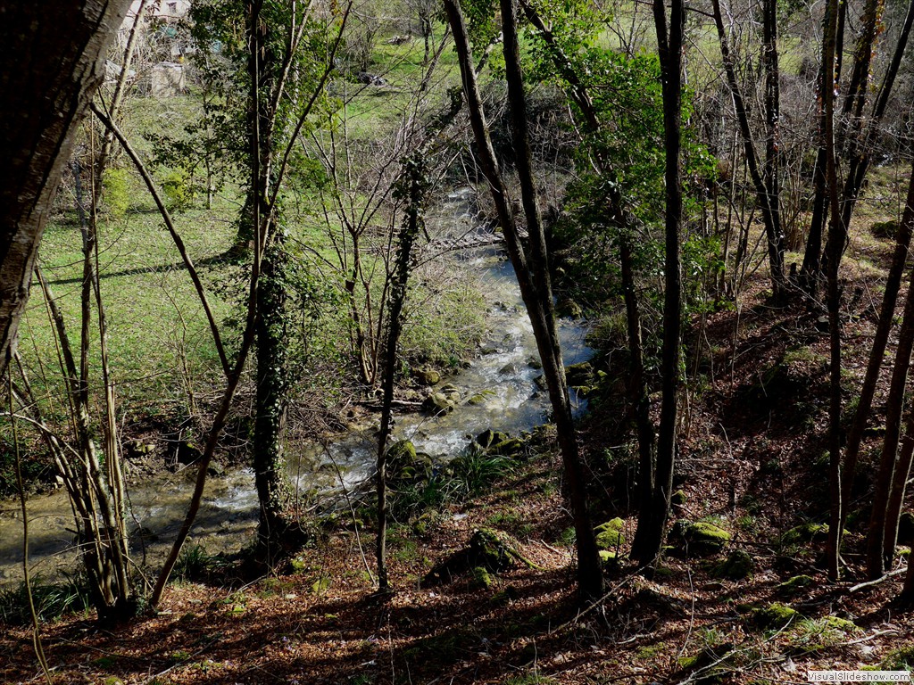 P1110231