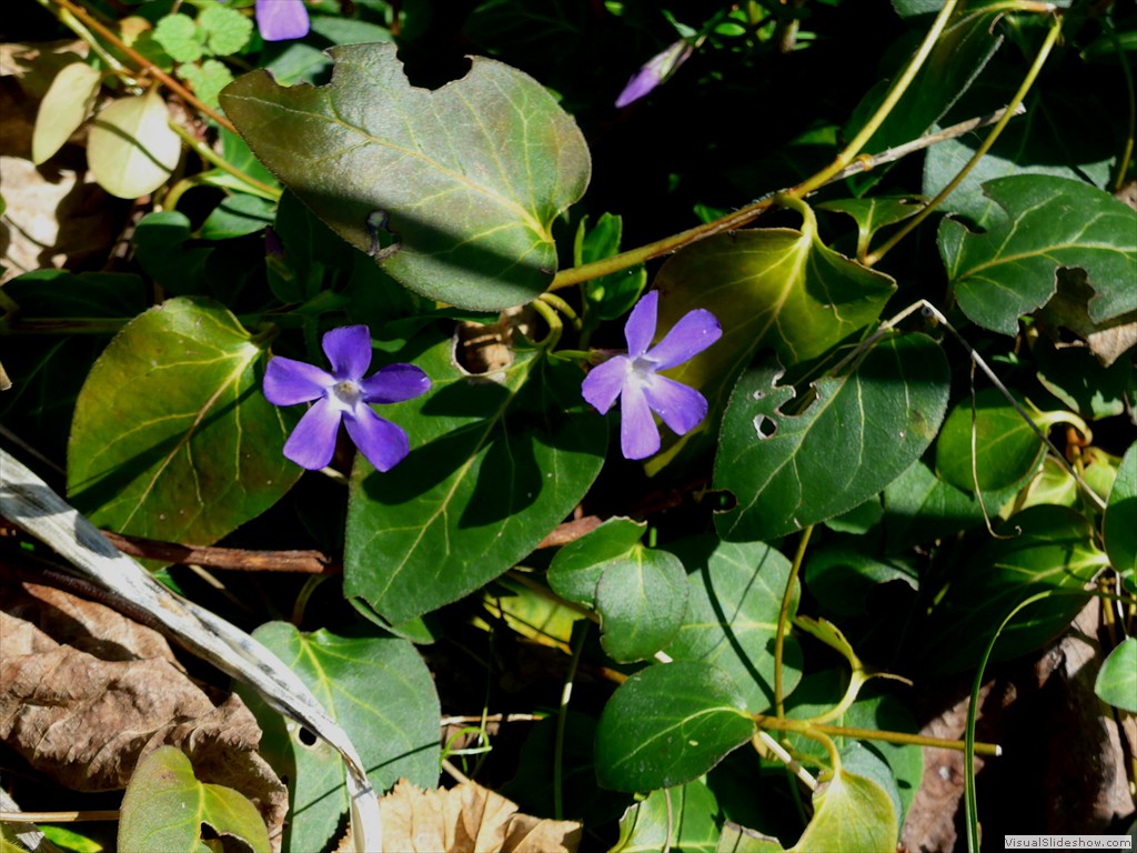 P1110241