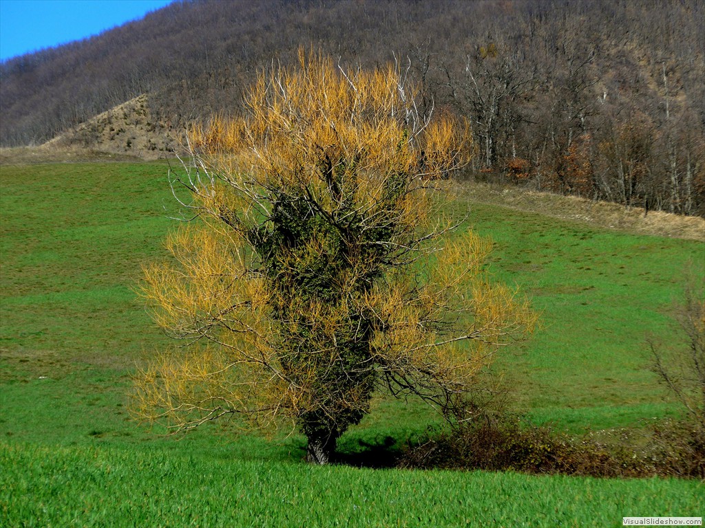 P1110248