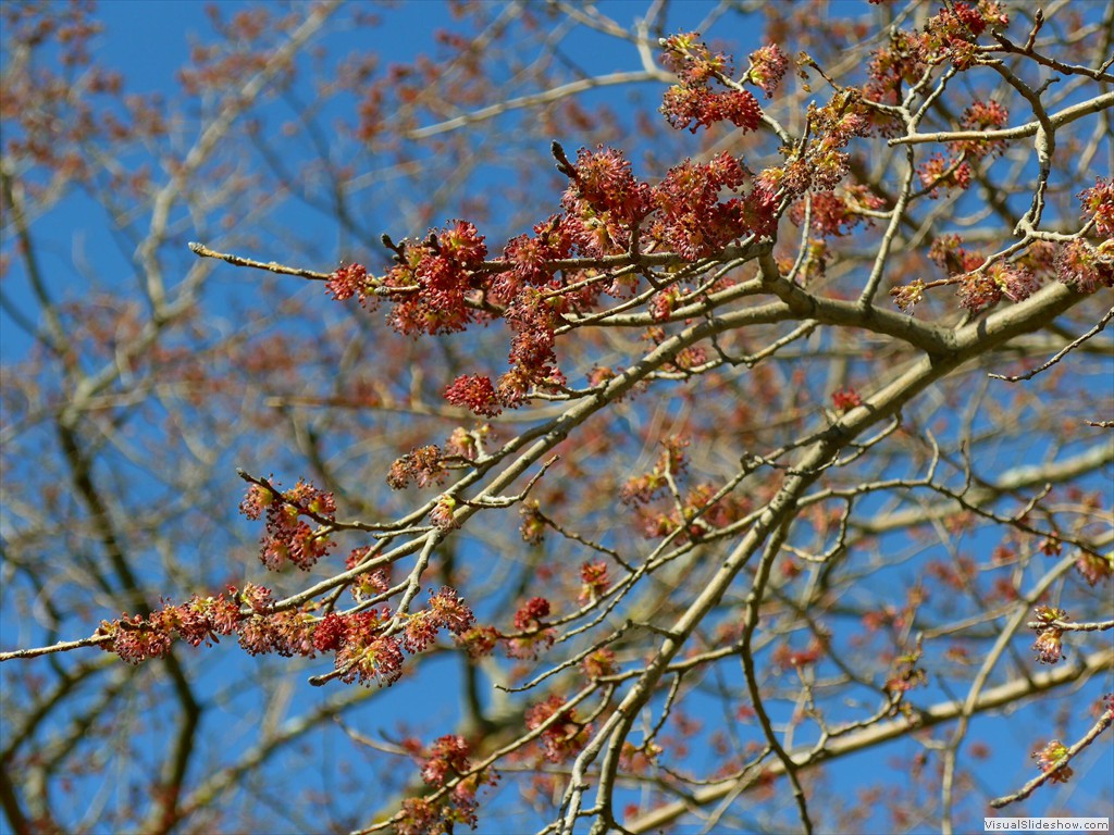 P1110251
