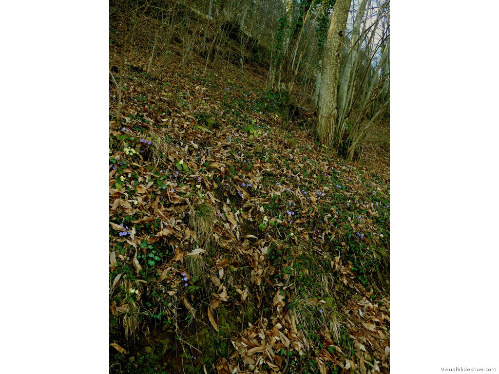 P1110254