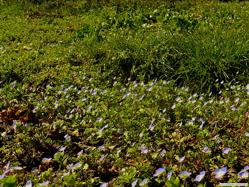 P1110263