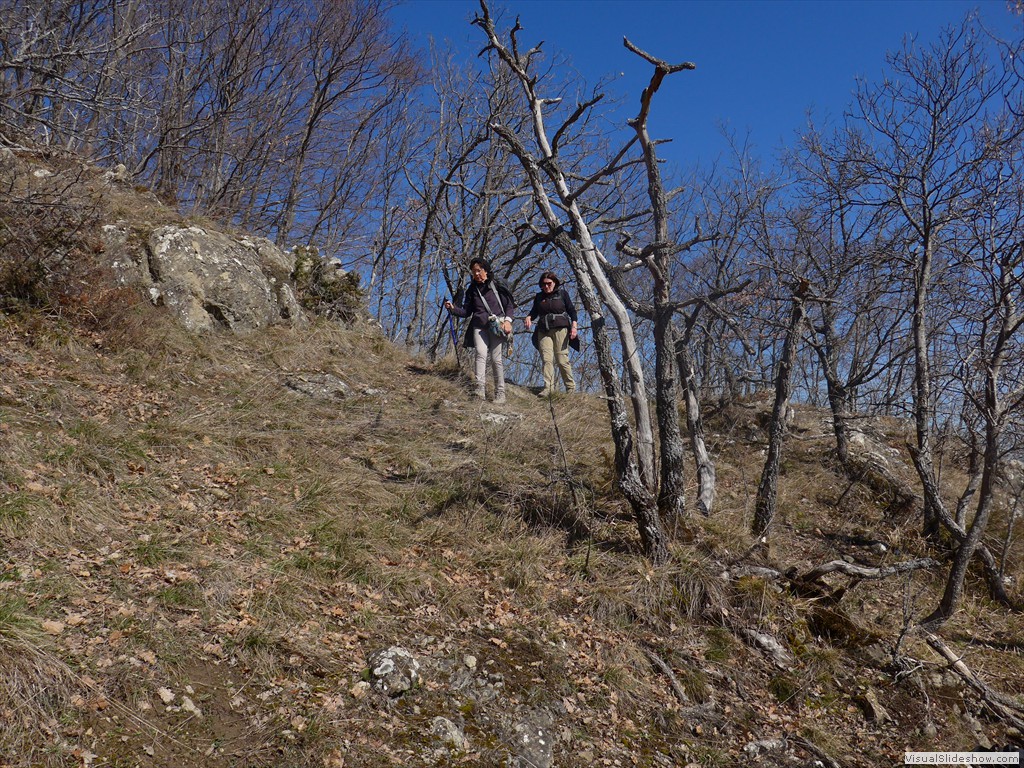 P1110271