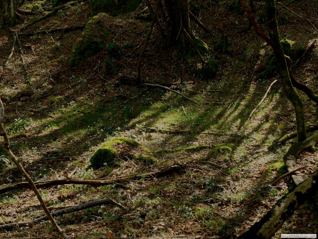 P1110280