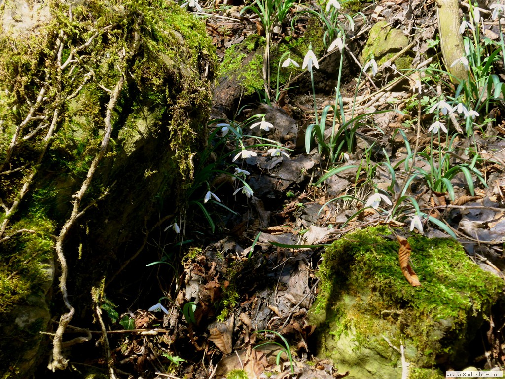 P1110282