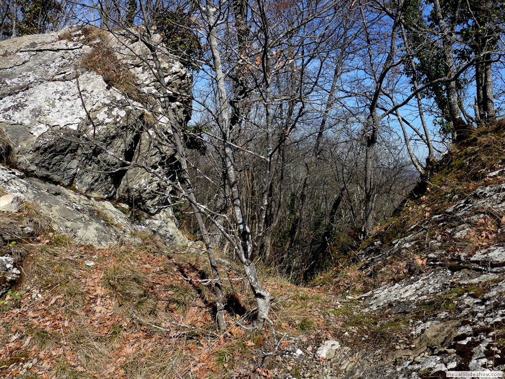 P1110289