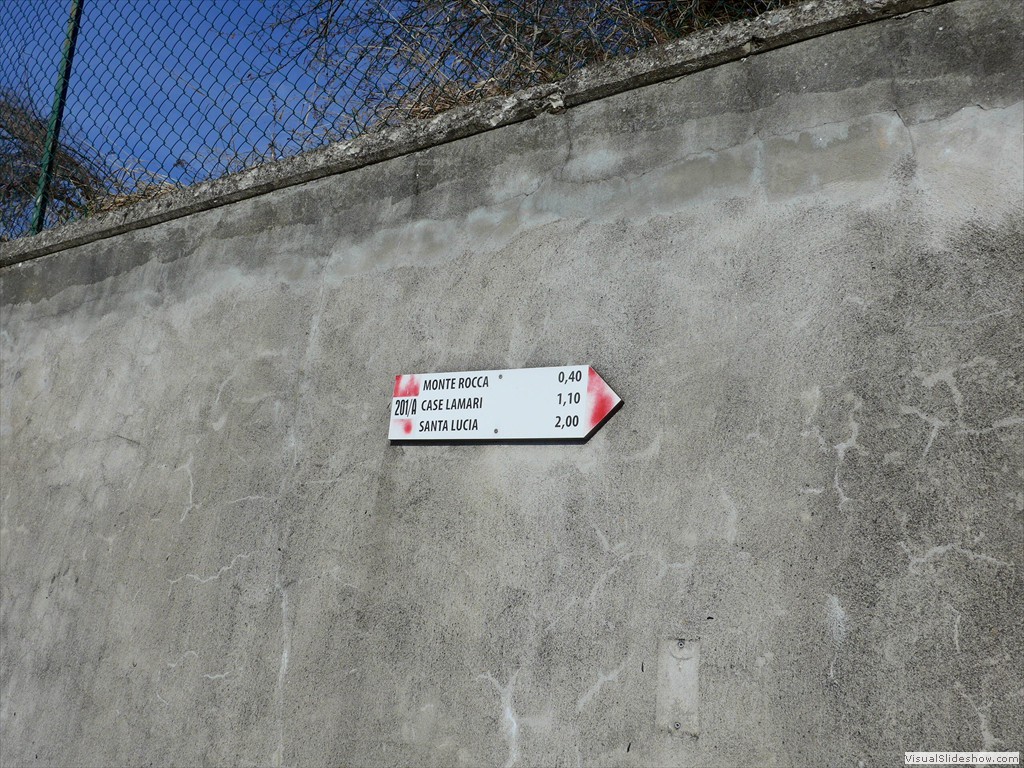 P1110300