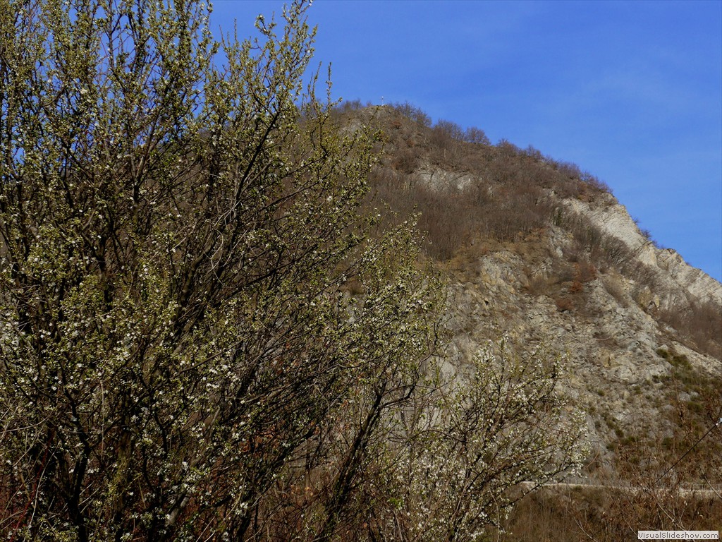 P1110313
