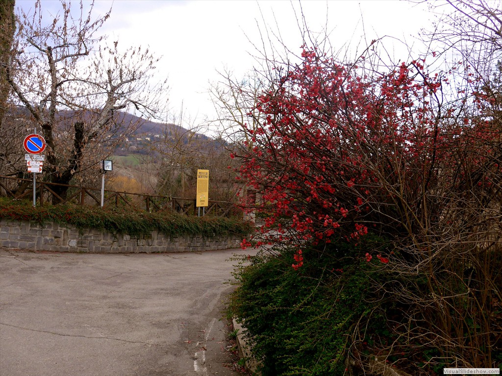 P1110331