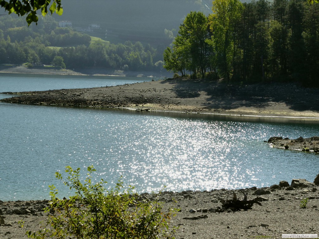 P1000933