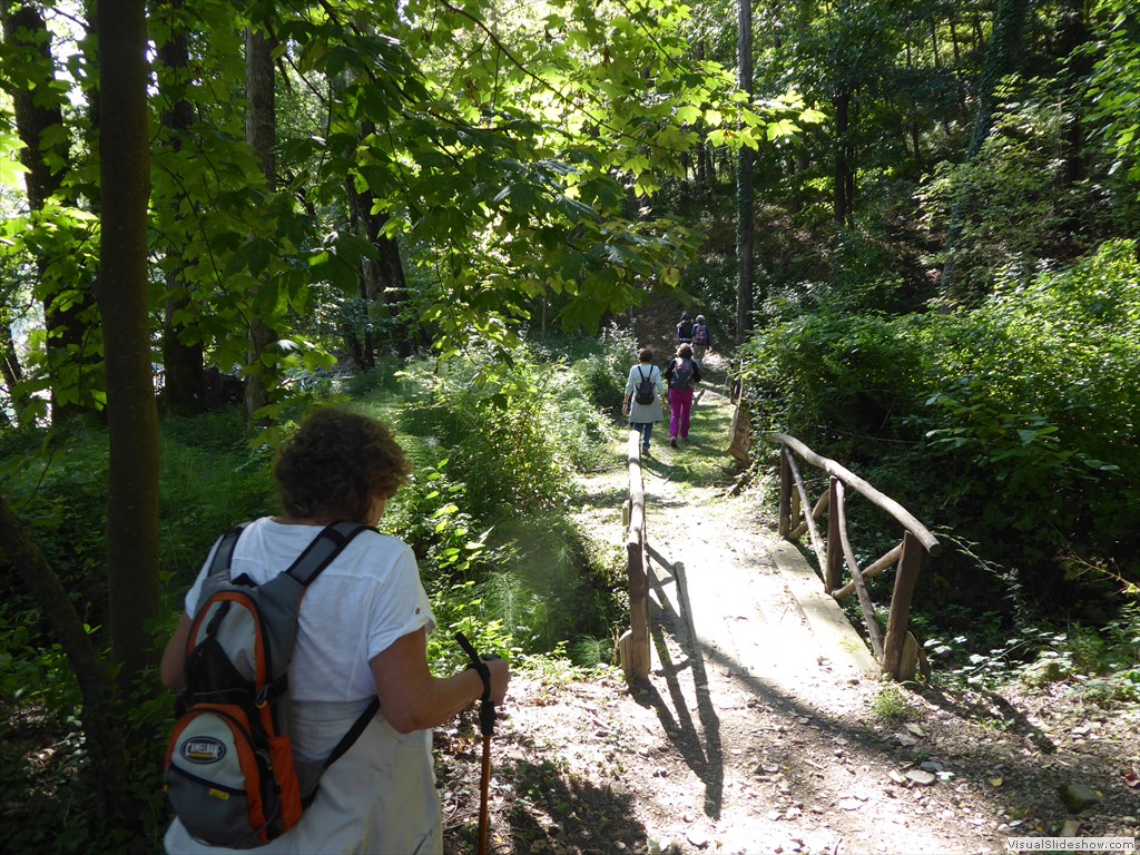 P1000951