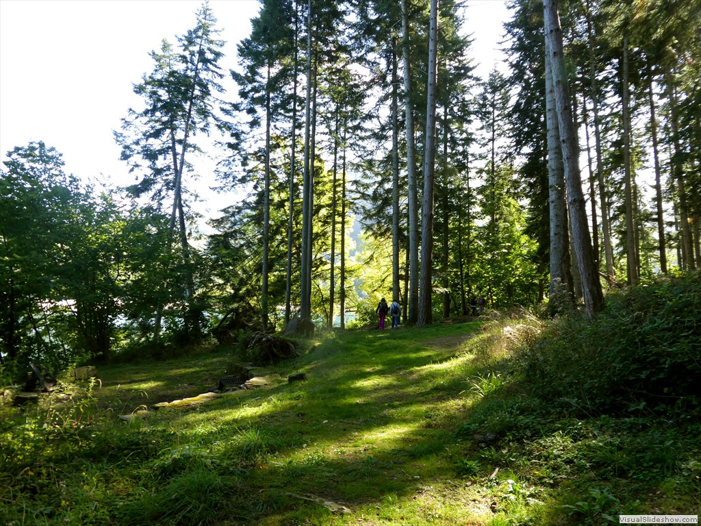 P1000954