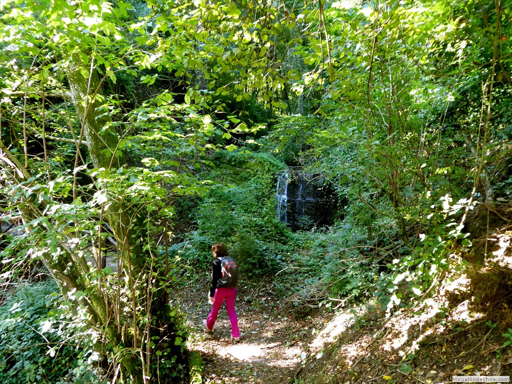 P1000955