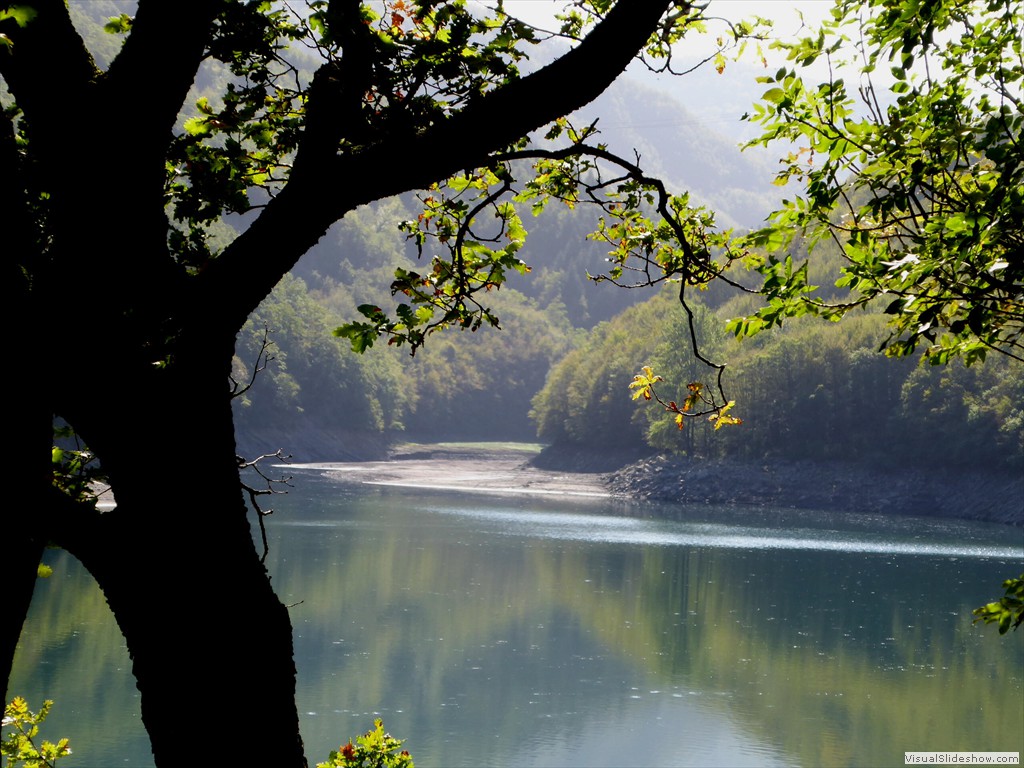 P1000961