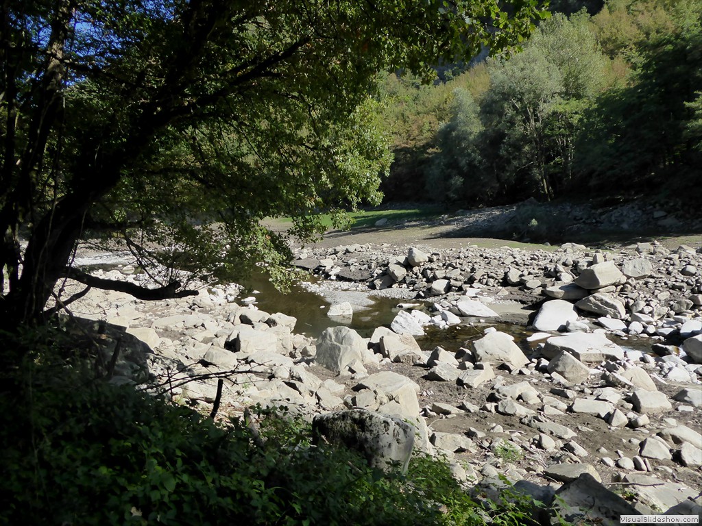 P1000968