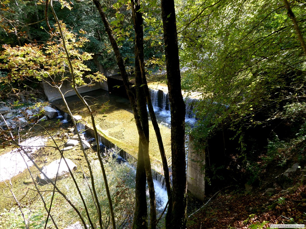 P1000976
