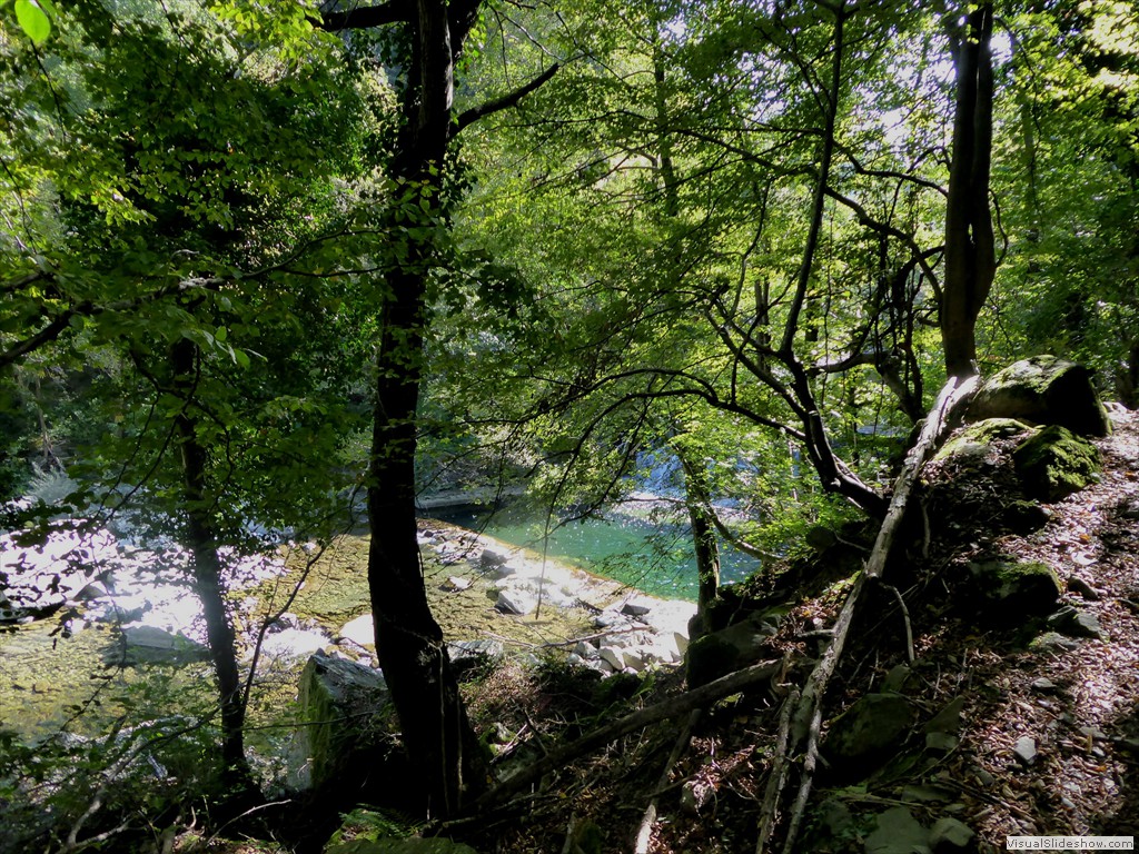 P1000977