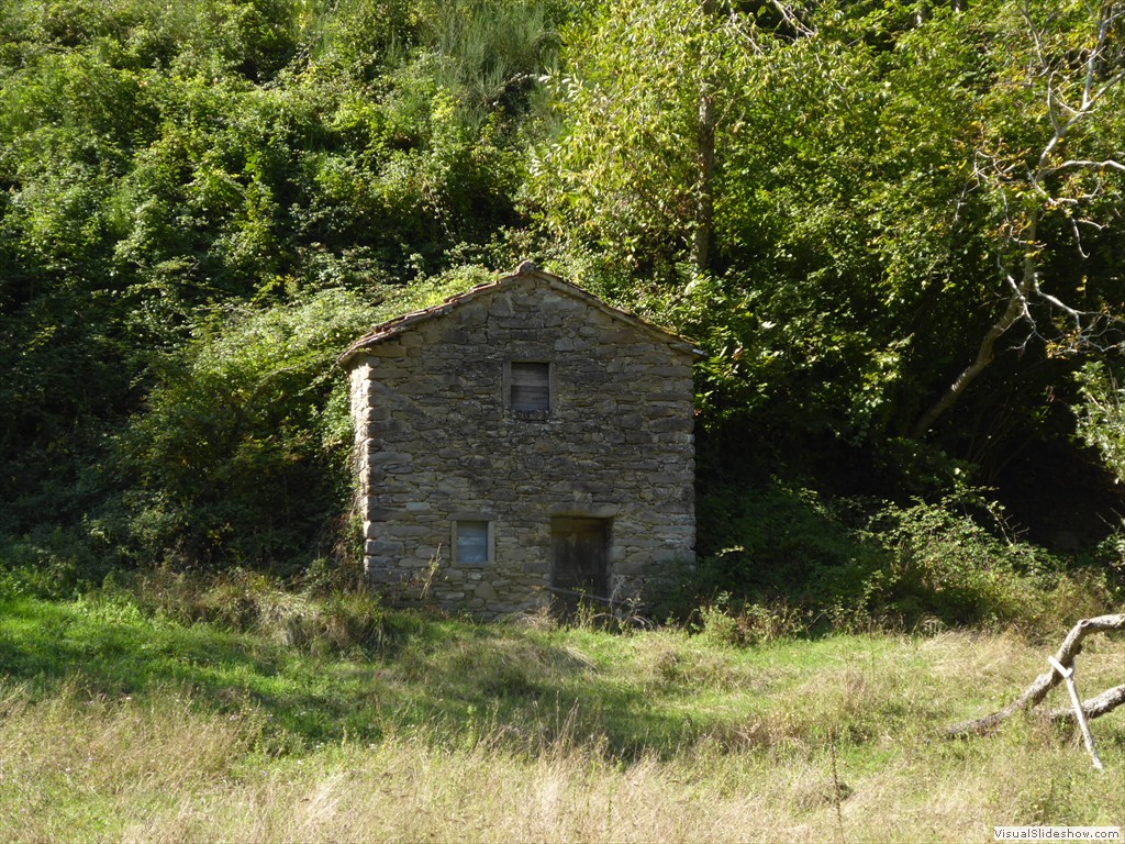 P1000990