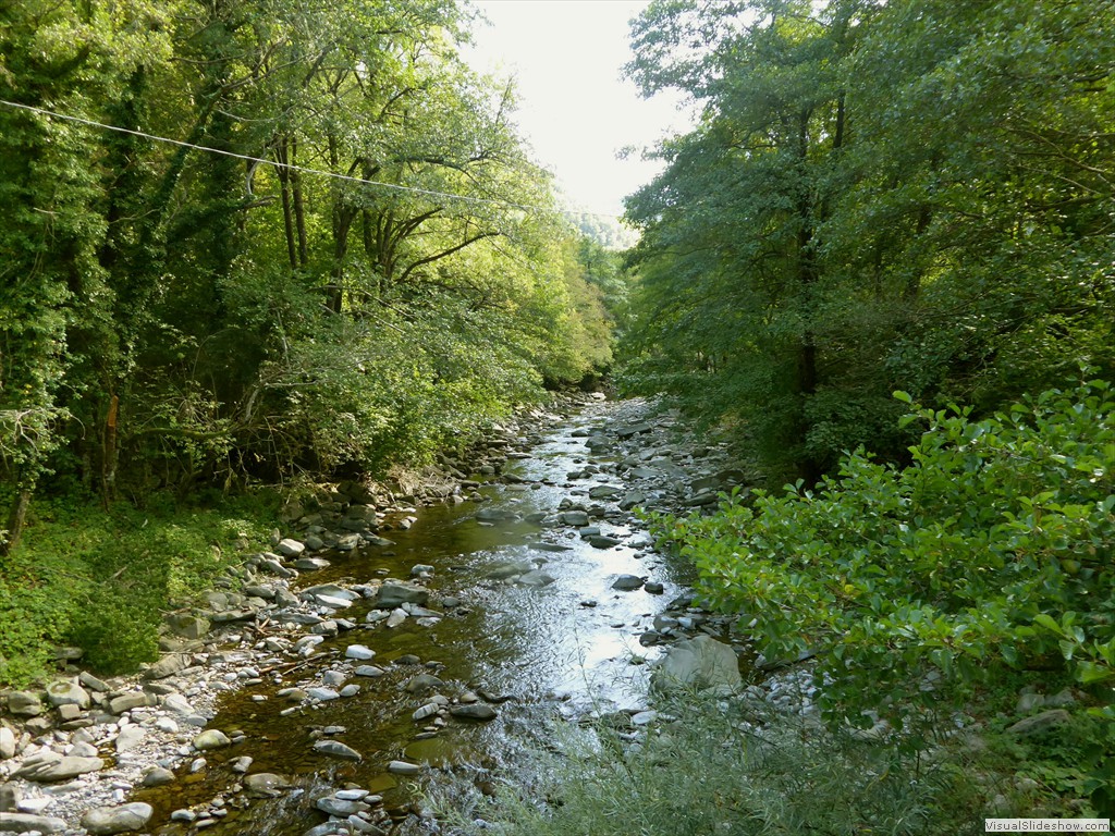 P1000996