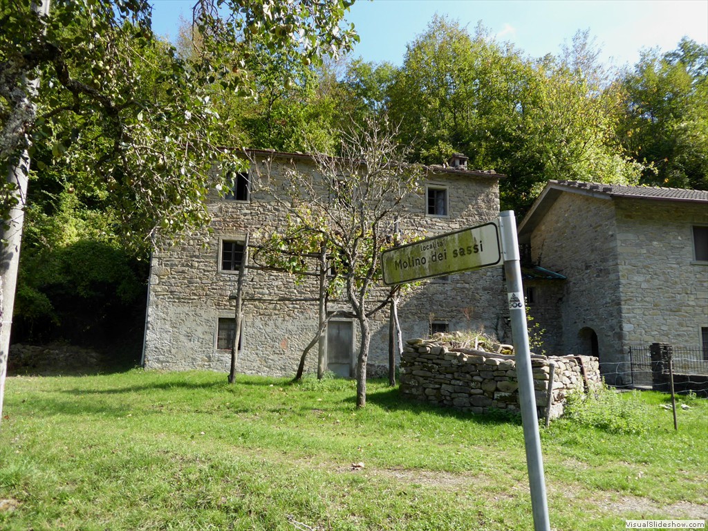 P1000998