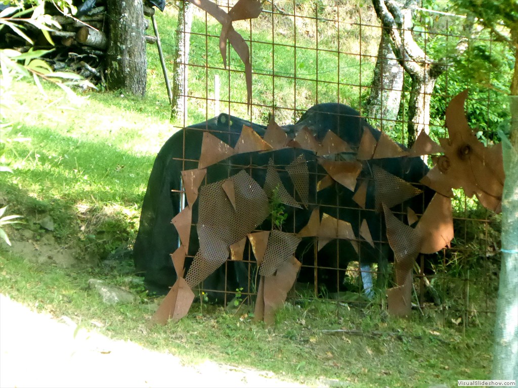 P1010003