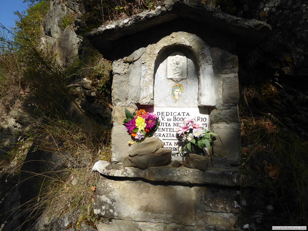 P1010007