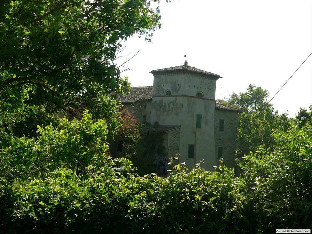 P1040593