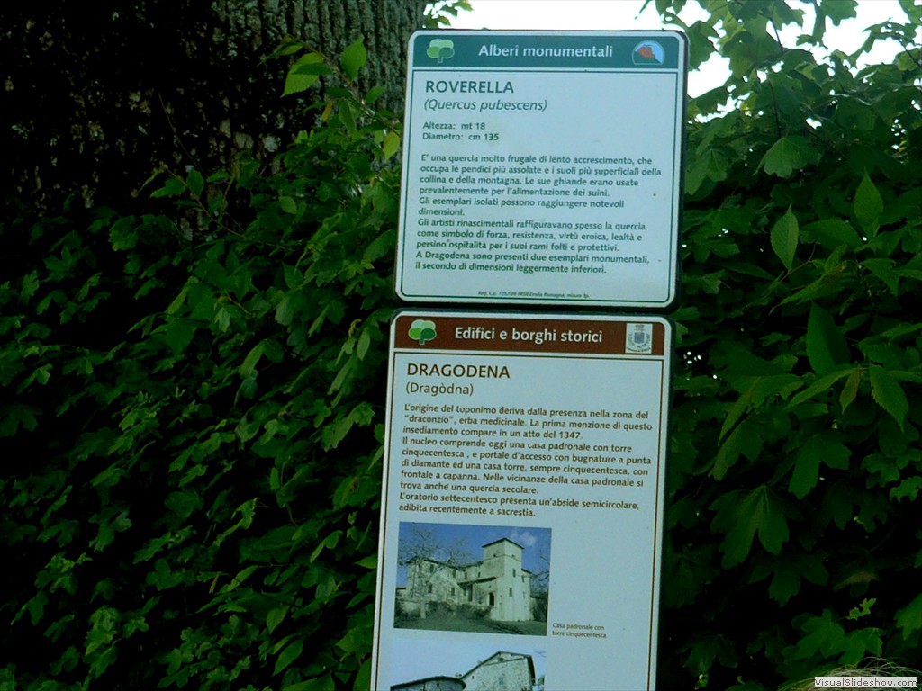 P1040596