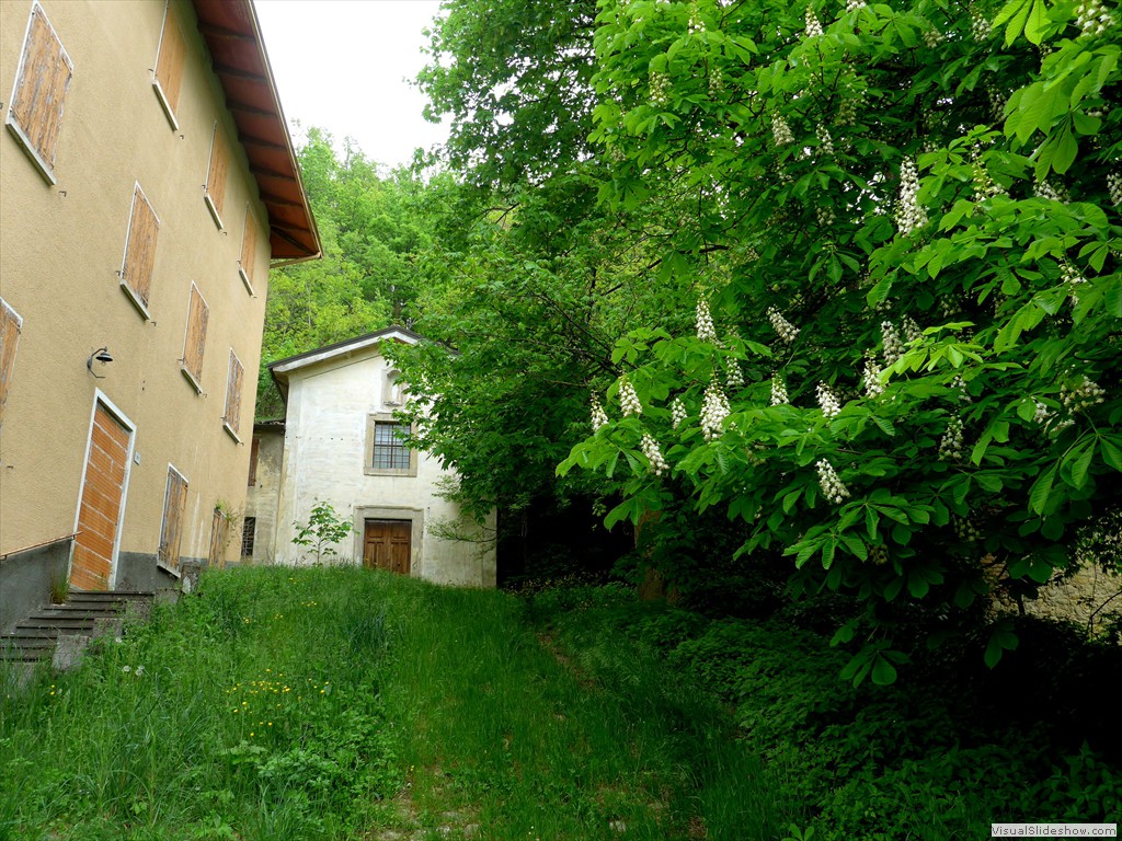 P1040603