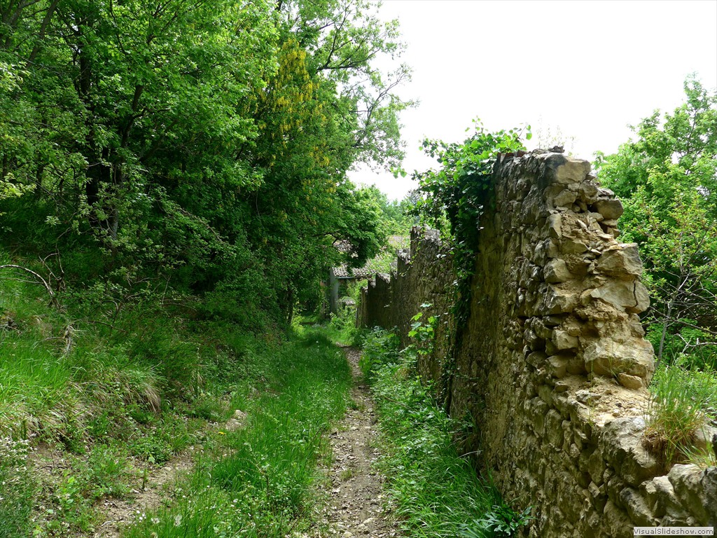 P1040611