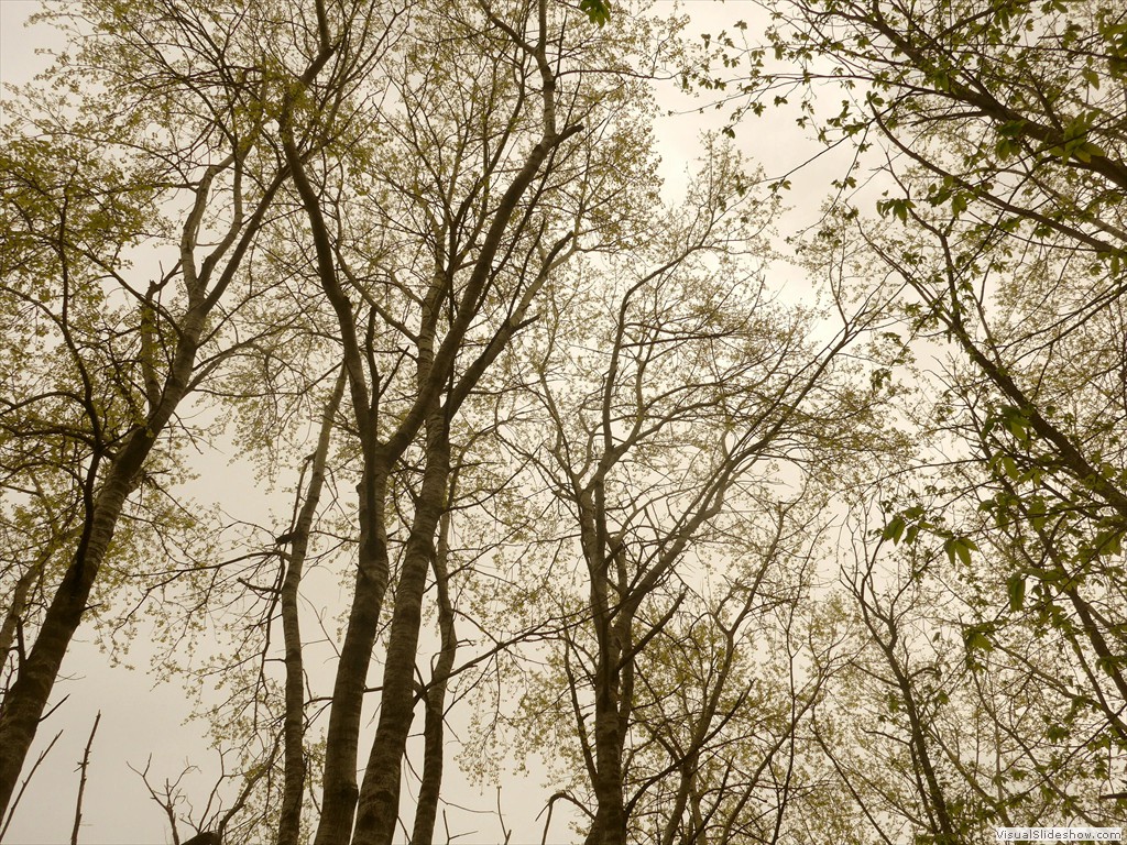 P1040614