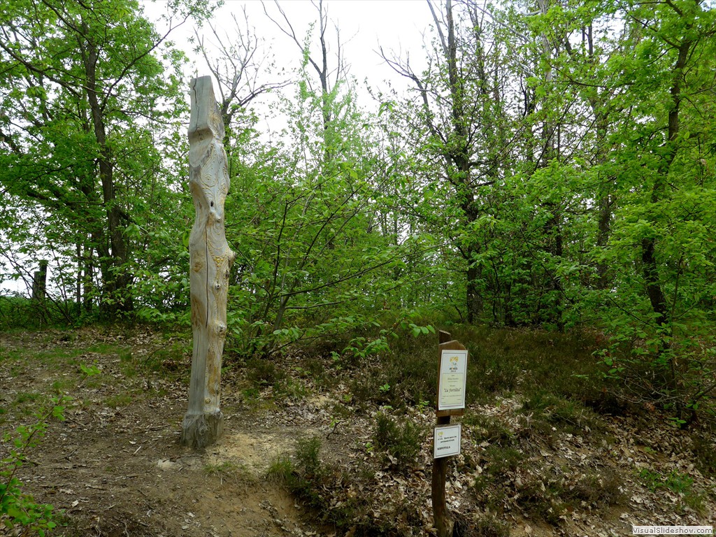 P1040620