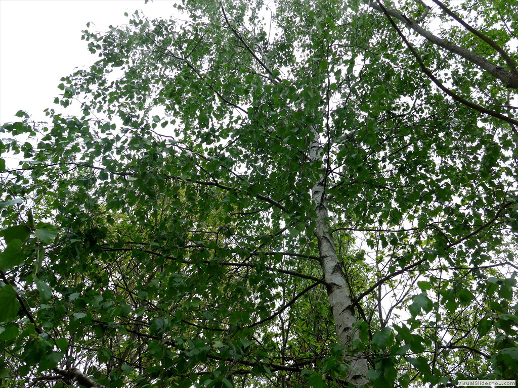 P1040627