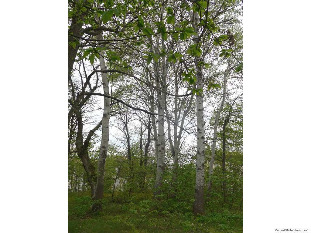 P1040638